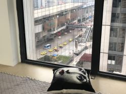 -青禾造型&刺青