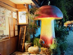-菌自由丨野生菌火锅特色庭院餐厅(丽江古城店)