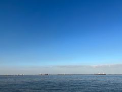 -上海滨江森林公园