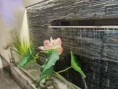 -大榕树下顺德菜(融创茂店)