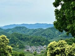-龙井村