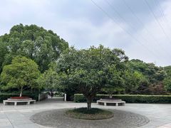 -八卦田遗址公园
