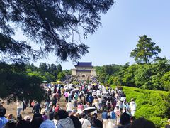 -南京金陵饭店
