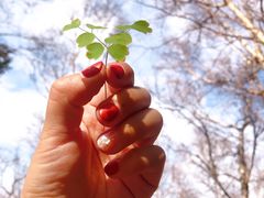 -白草畔自然风景区