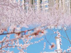 -石家庄市植物园