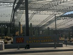 -东芭乐园