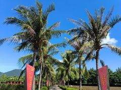 -亚龙湾国际玫瑰谷