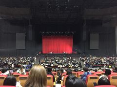 -成都金融城演艺中心