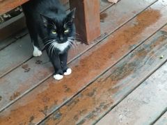 -昆山城市生态森林公园