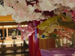 -蓝鲸湾汤泉(包河店)