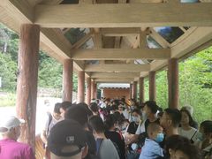 -牛背梁国家森林公园