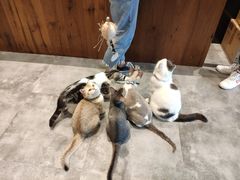 -凯德广场(武胜路店)