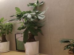 -海底捞火锅(吾悦广场店)