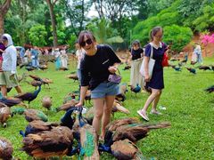 -西双版纳勐泐文化旅游区