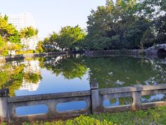 -云南勐巴娜西珍奇园