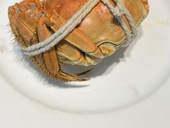 -金典银峰老鹅馆·昆山菜(亭林公园店)
