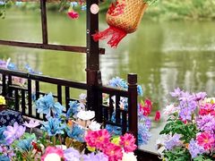 -长兴太湖图影湿地文化园