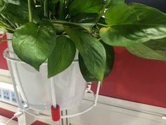 -曼格纳·曼芯馆(杨浦店)