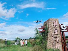 -空港花田景区