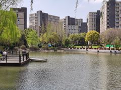 -高东镇樱花园