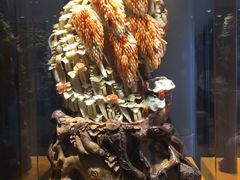 -舟山希尔顿酒店