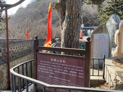 -妙峰山风景名胜区