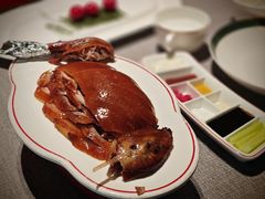 -秀儿四九城·新京菜(亚运村鸟巢店)