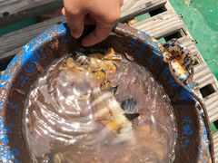 -合家小菜餐馆(新诚花苑店)