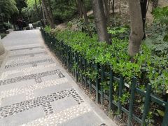 -西安市长乐公园