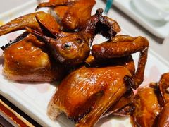 -大鸽饭(体育西路店)