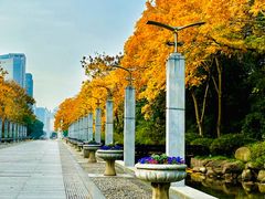 -上海科技馆(地铁站)