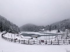 -武陵山森林公园