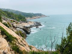 -广东惠东海龟国家级自然保护区