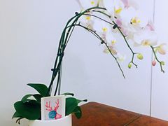 -Big House当代艺术中心