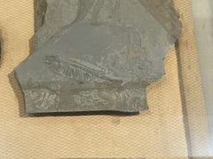 -崆峒山景区
