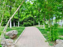 -南开大学滨海学院