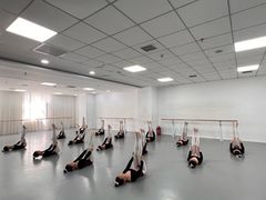 -西安小天鹅艺术团(金花路校区)