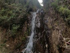 -姑婆山旅游区