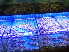 -海韵之星邮轮水会(明发商业广场店)