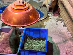 -正佳雨林生态植物园