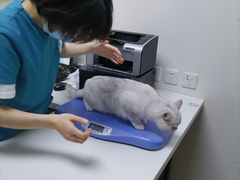 -美联众合动物医院·24h转诊中心