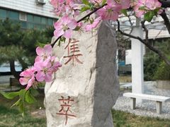 -北京信息科技大学(小营校区)