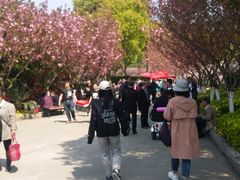 -无锡市乌鹤山公墓办事处