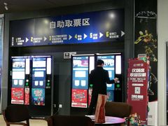 -大地影院(上海南汇店)