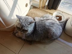 -Oasis绿洲银饰珍珠手作diy(壹方城店)
