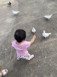 -玄武湖景区-情侣园游乐场