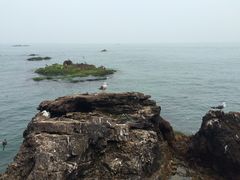 -海驴岛(荣成市)