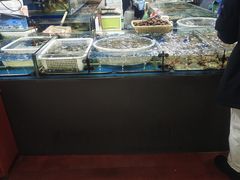 -王四营海鲜市场
