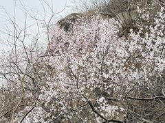 -北京凤凰岭