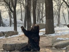 -北京野生动物园